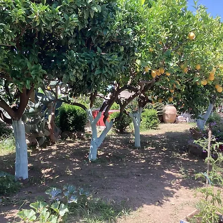 Casetta Minghitto Bed & Breakfast 3*