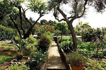 Bed & Breakfast Casetta Minghitto Relaxing In Capri 4*